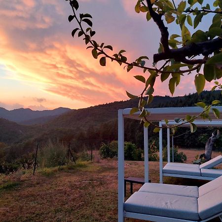 Villa Giuliana B&B Scarperia Eksteriør bilde