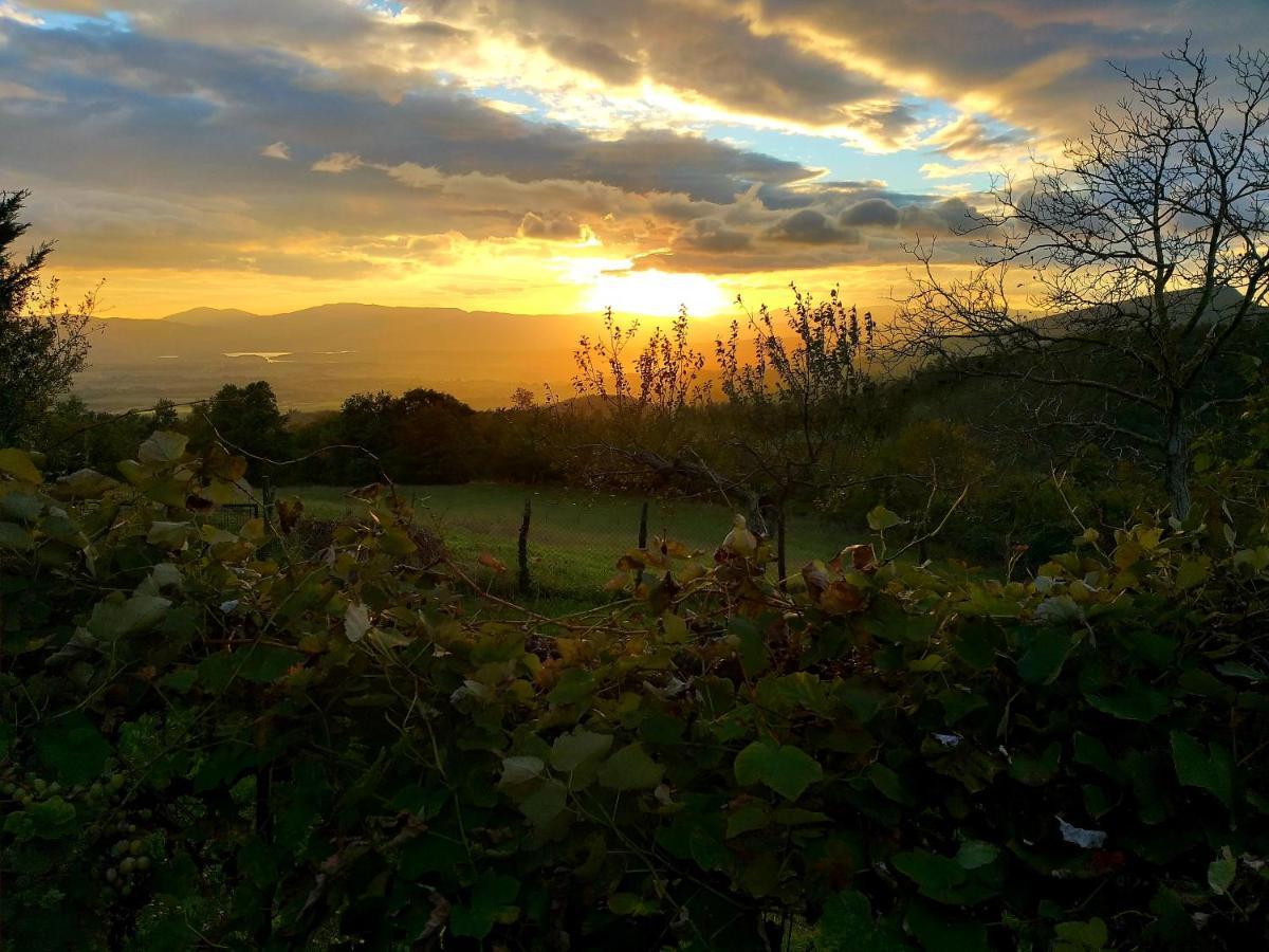 Villa Giuliana B&B Scarperia Eksteriør bilde